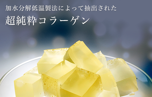 加水分解低温製法　超純粋コラーゲン